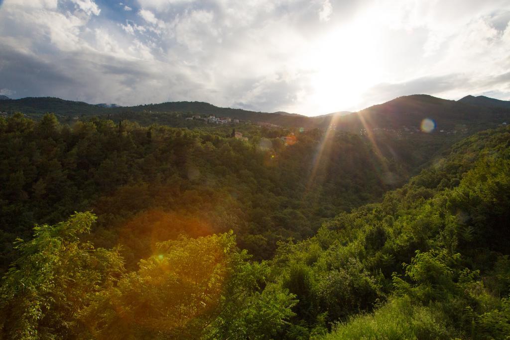 Villa Flora Οπατία Εξωτερικό φωτογραφία